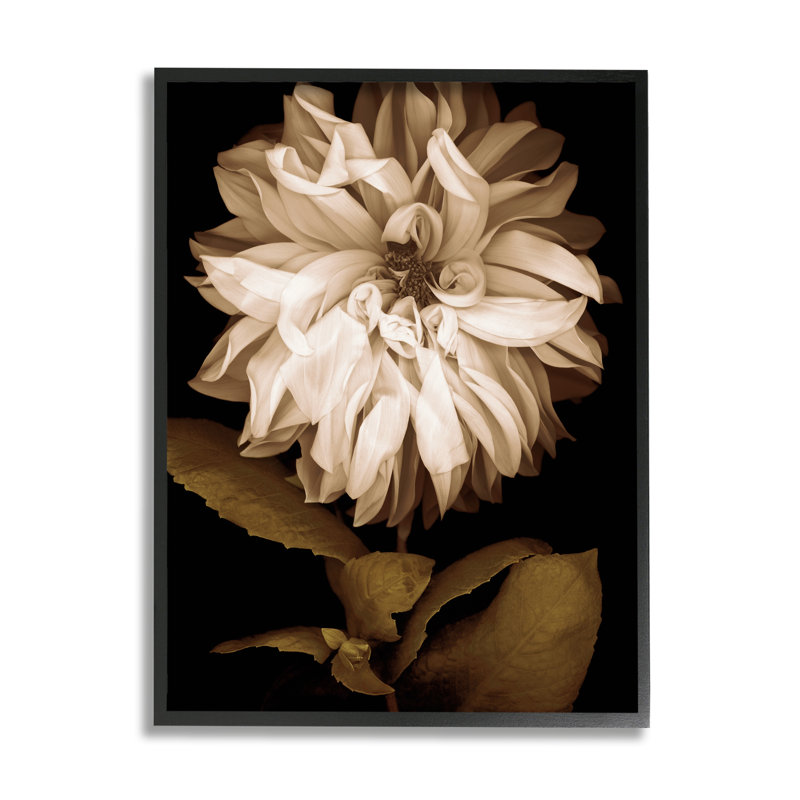 «Modern Modern White Chrysanthemum Petals» par Caroline Kelly - photographie à cadre flottant sur bois