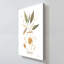 "Neutral Floral II" par Tava Studios, reproduction sur toile