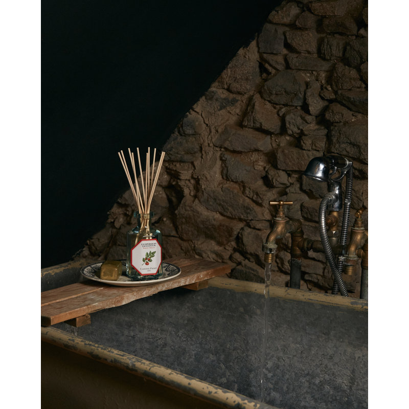 Fruits Diffuser, Tomato