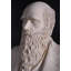 Statue buste Darwin
