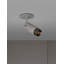 1 - Light Spotlight-2078808013