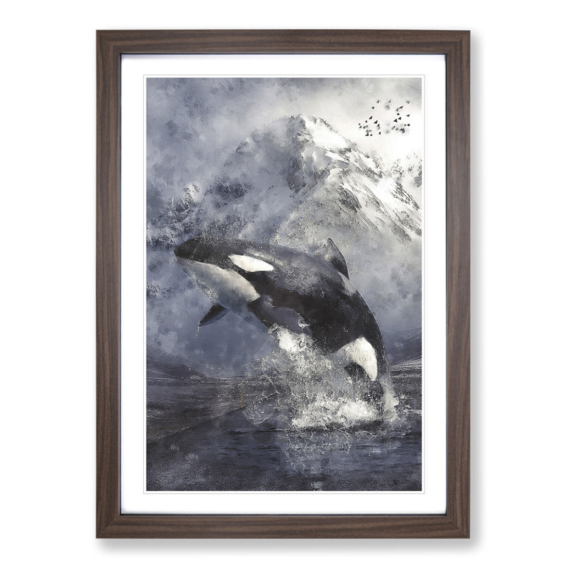 Killer Whale - Framed Print, 65cm H x 48cm W x 2cm D, Walnut Framed