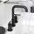 Widespread 2 Handles Bathroom Faucet with Water Supply Lines-1631516352-1613886754