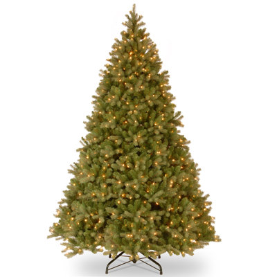 Lighted Christmas Tree