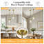 Levona 1 - Light Large Kitchen Island Pendant With Clear Hammered Glass Shade(Set Of 2)-2101498499