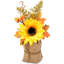 10 plantes