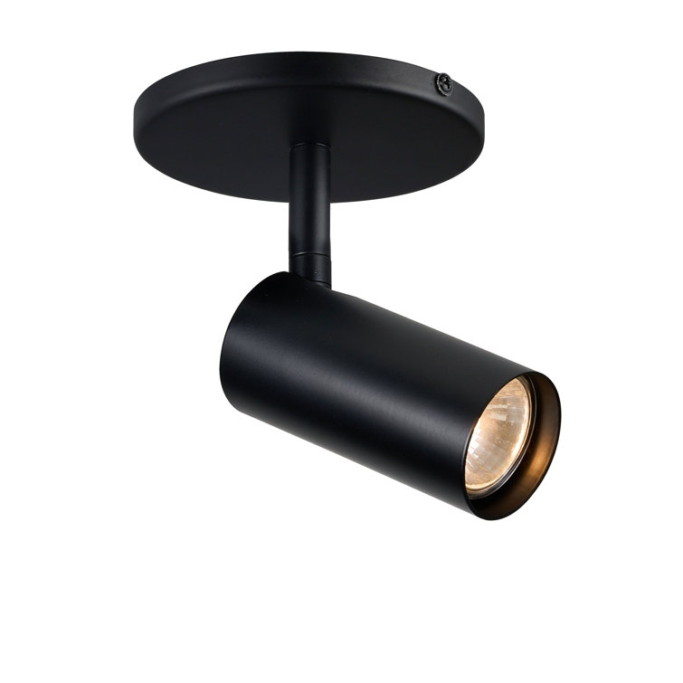 Bivian 1 Light Spotlight