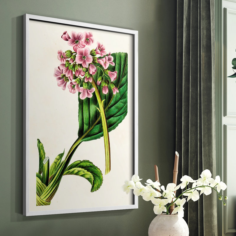 Reproduction encadrée Antique Floral Folio III - bois massif, Blanc, H 28 po x l 22 po
