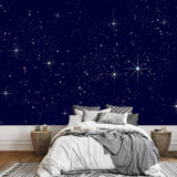 Self-Adhesive Wallpaper Large Shining Star Series