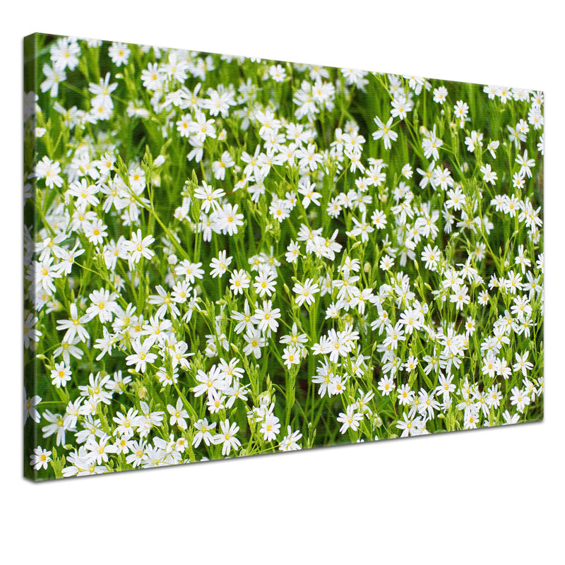Print on Canvas, 100cm H x 150cm W x 2cm D
