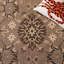 Cherene Performance Oriental Indoor/Outdoor Area Rug-18768339