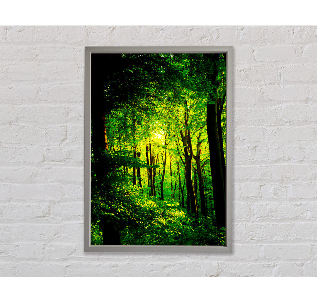 Emerald Forest Walk - Einzelner Bilderrahmen Kunstdrucke auf Leinwand