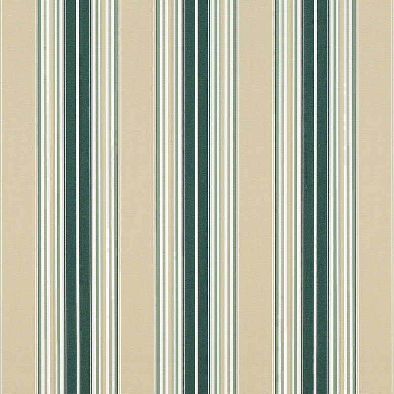 Tissu Sunbrella à rayures 46 po