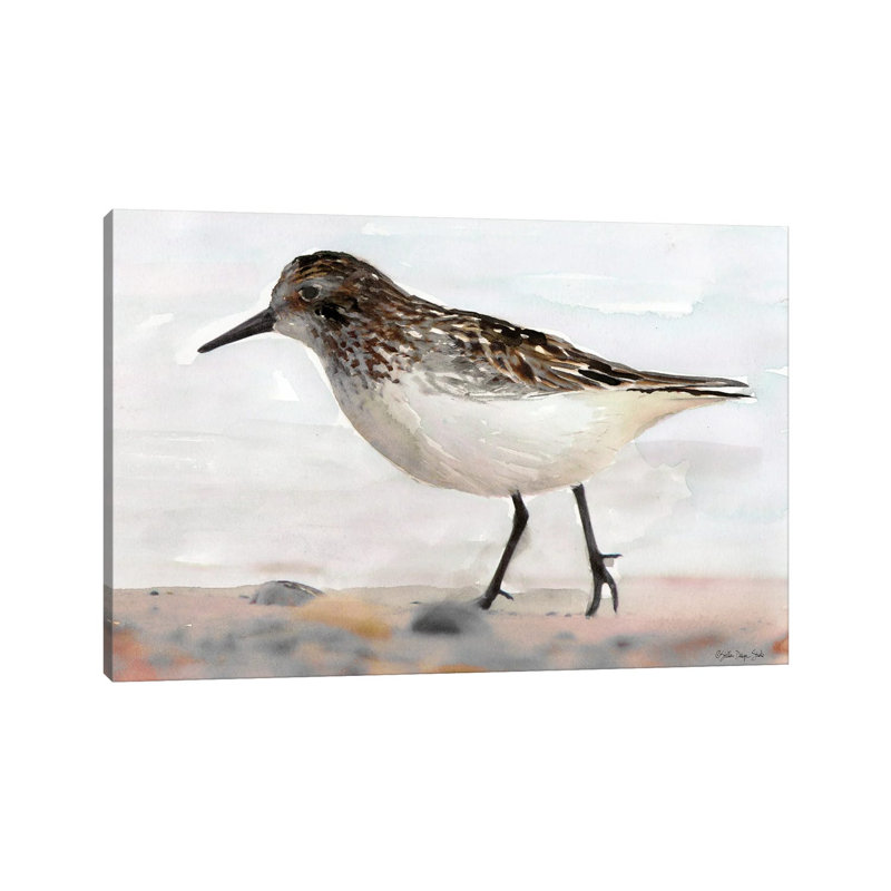 Sandpiper II by Stellar Design Studio - Painting on Canvas, 66.04 cm H x 45.72 cm W x 1.91 cm D, Wrapped Canvas