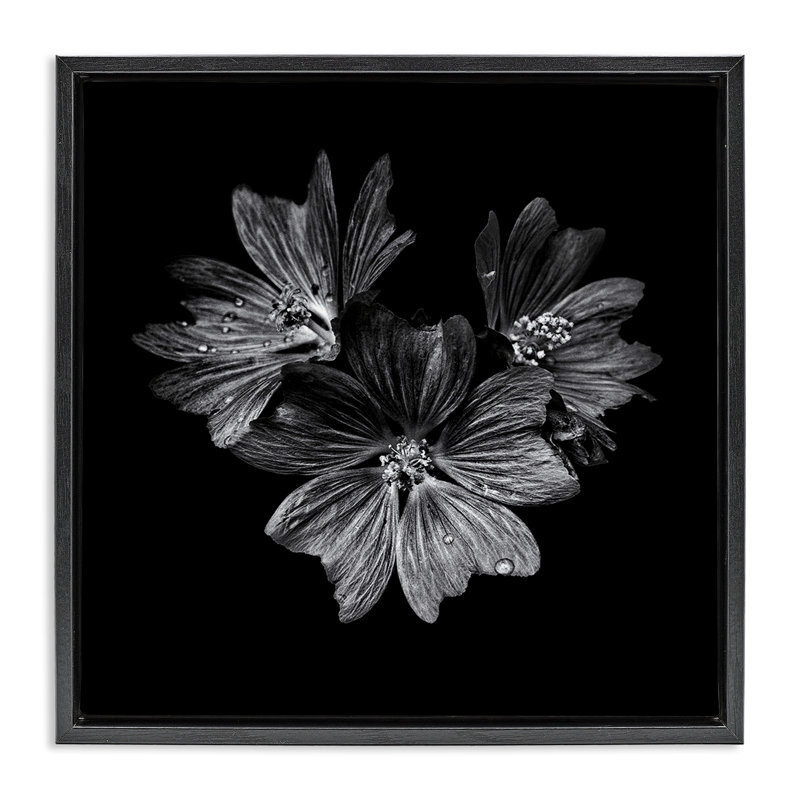  "Blossom Trio", art mural sur toile flottante par Brian Carson, Cadre flottant noir de jais, H 18 po x l 18 po