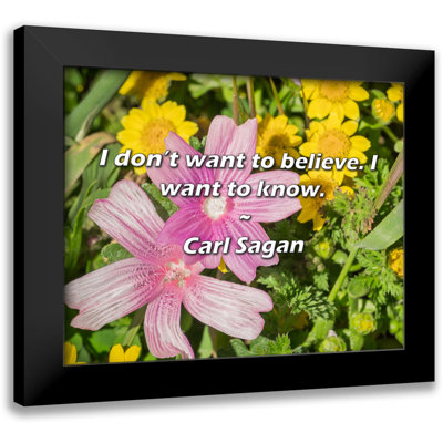 Carl Sagan Quote: I don't want to believe. I want to know.