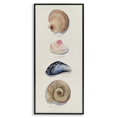 Art giclée de coquillages traditionnels par Grace Popp