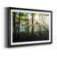 Light and Trees - Photographie avec cadre photo-1213786065-1213786070