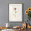 Mauve Garden Flowers VI - peinture encadrée-955008962-955008963