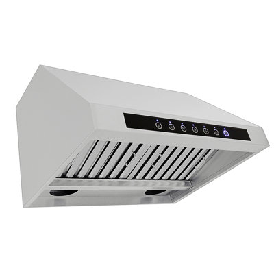 Hotte sous un meuble à conduit 36 pouces PROLINE en acier inoxydable brossé 1000 CFM