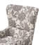Fauteuil à oreilles Ariswoop