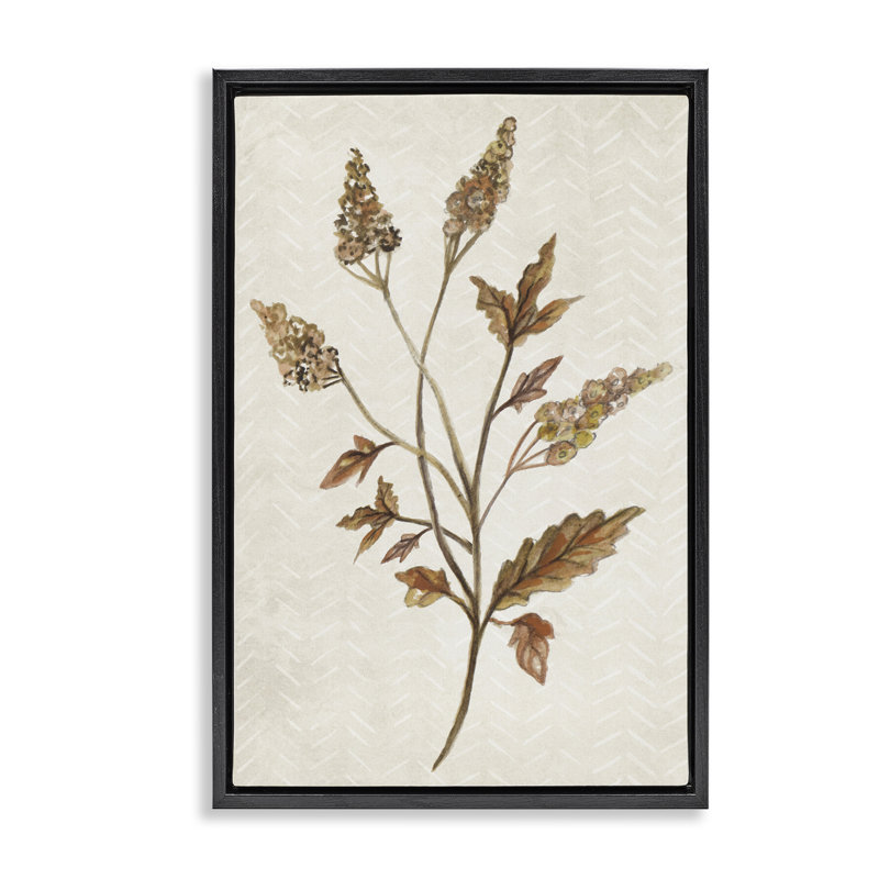 «Neutral Garden Botanics» par Janice Gaynor, Cadre flottant noir de jais, H 25 po x l 17 po