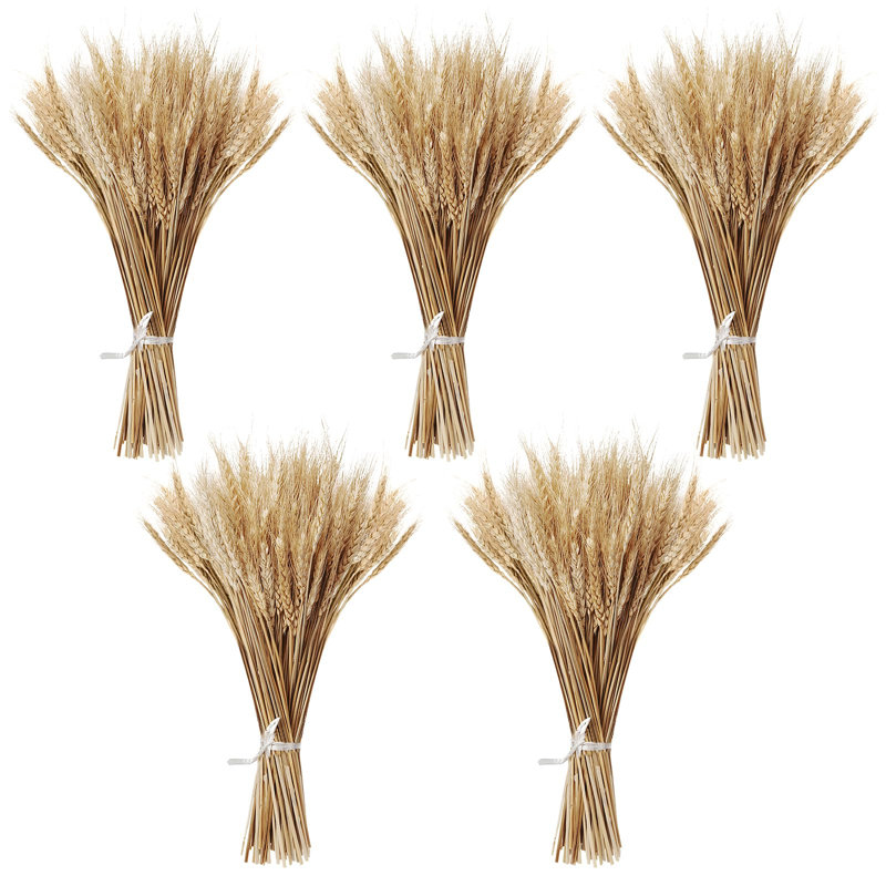 Natural Beige Dried Wheat Stalks for DIY Crafts and Decor