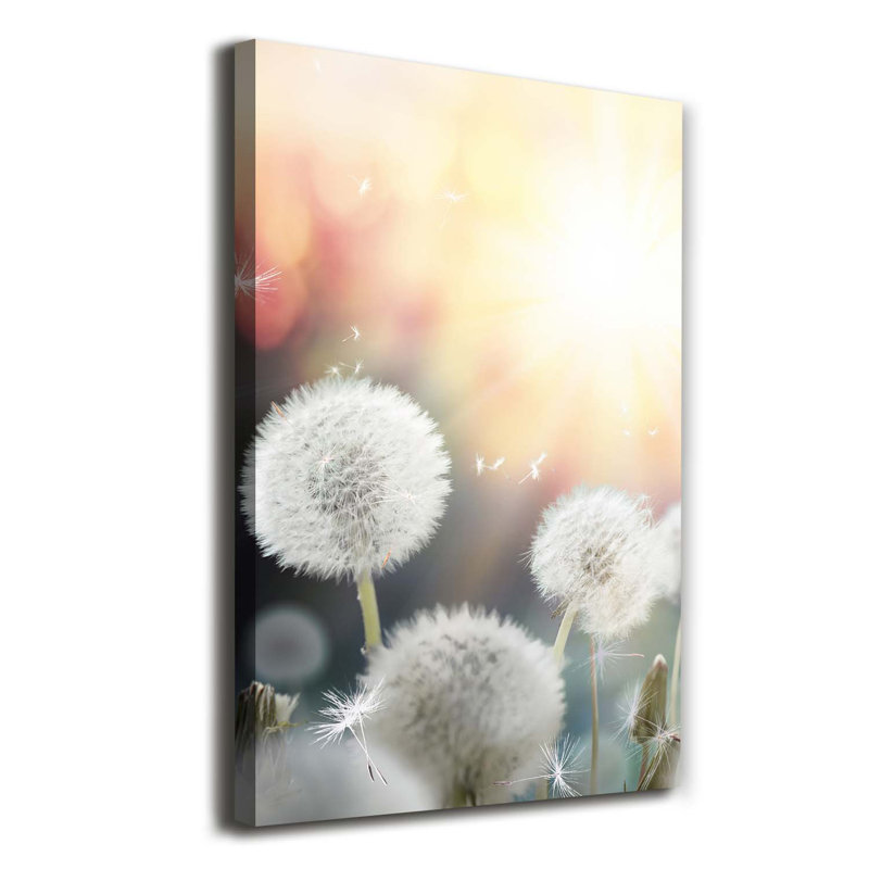 Dandelions - Wrapped Canvas Print
