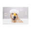 No Frame Print on Canvas-1260753475
