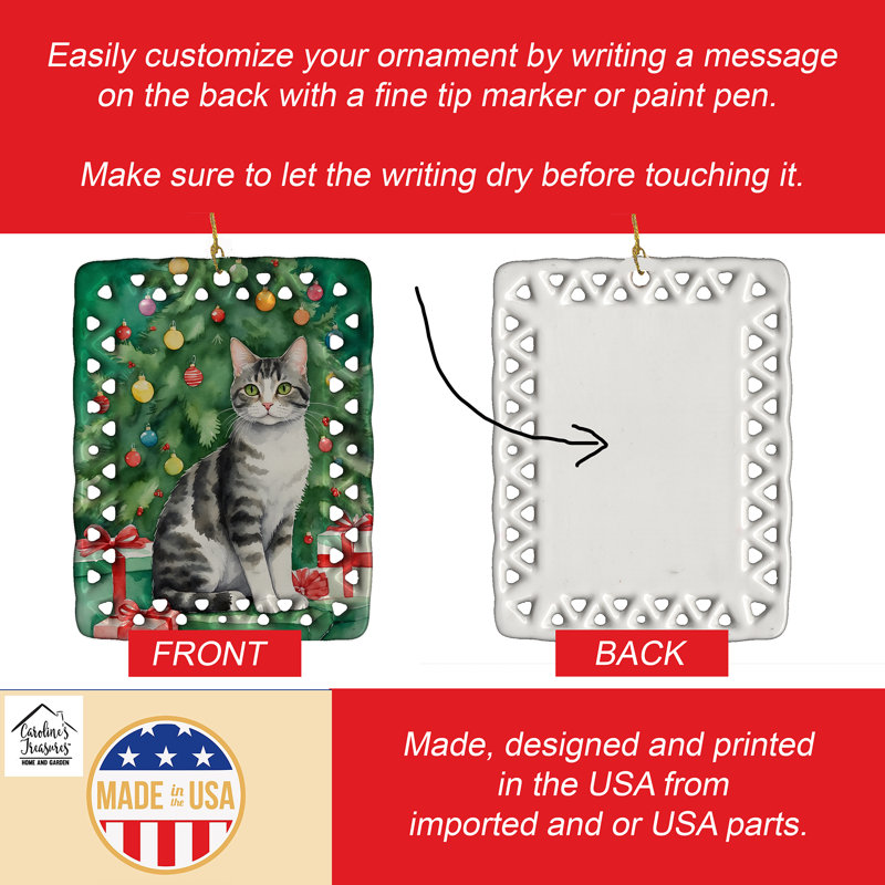 Ornement en porcelaine American Wirehair, Chat American Wirehair