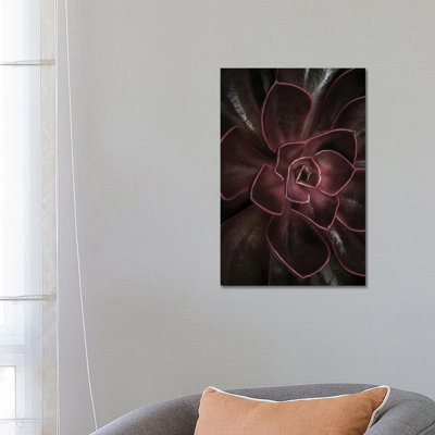 Secret XVI 1 Piece Wrapped Canvas Wall Art