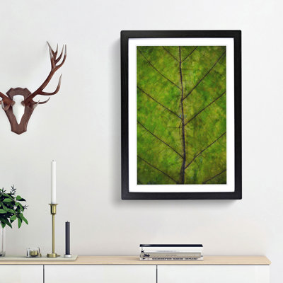 Leaf Lines - Framed Print