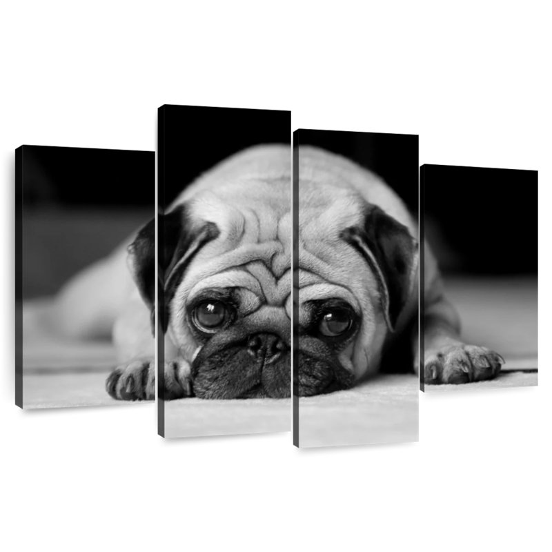Sad Pug, 42" H x 68" W