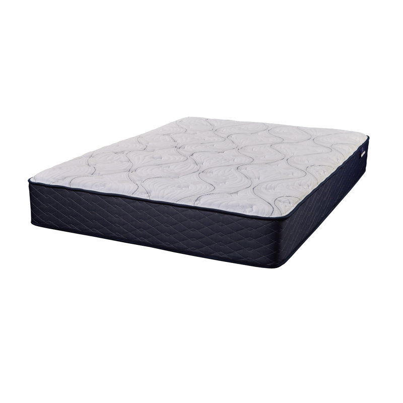 Matelas simple avec technologie de refroidissement et mousse confortable, support central merveilleux, comprimé, profondeur de 75 pouces, largeur de 39 po, hauteur de 11 po, 59 lb, blanc bleu, rembourrage en acier, mousse principale, compatible