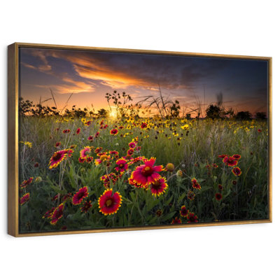 Aube au champ de fleurs