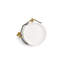 Butterfly Ginkgo Trinket Tray
