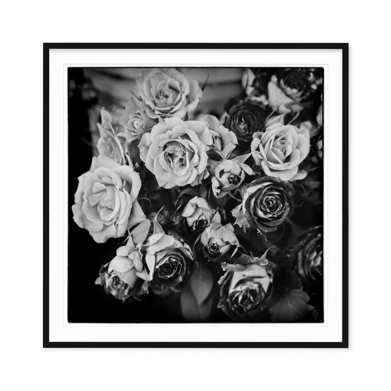 Fading Roses - Picture Frame Photograph on Paper , 25" H x 25" W, Black Framed