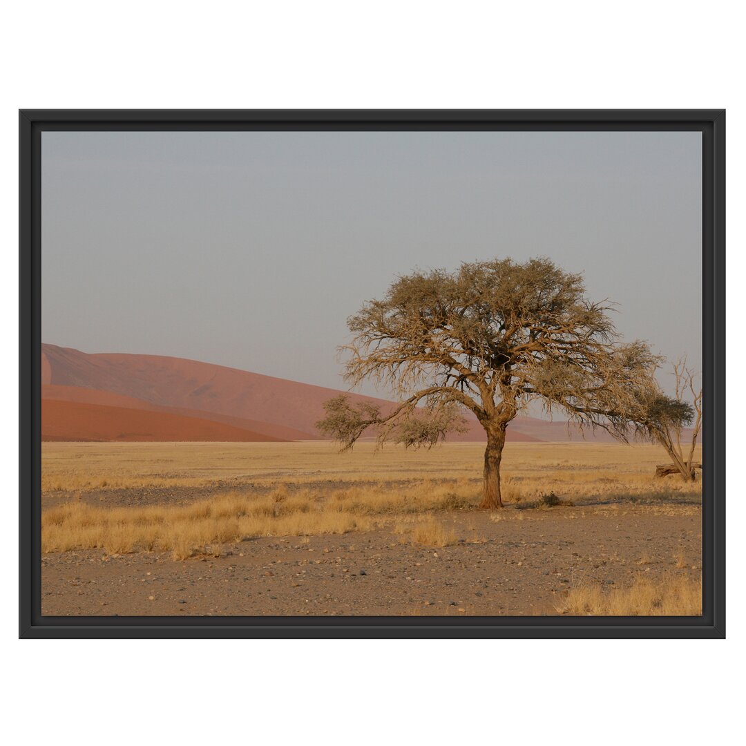 Gerahmtes Wandbild einzelner Baum in Wüste