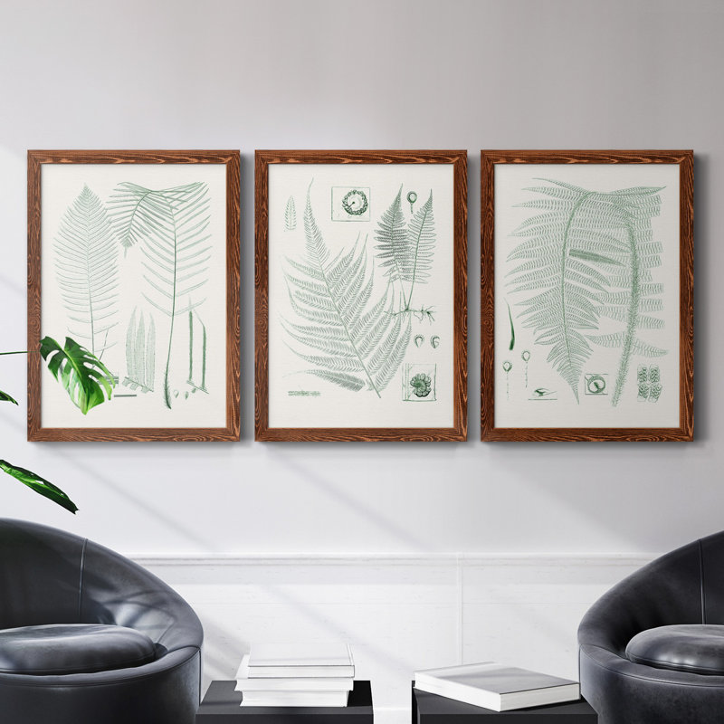 Verdure Ferns VII - ensemble de 3 peintures sur toile encadrées, H 43,5 po x l 31,5 po x P 1 po, Érable