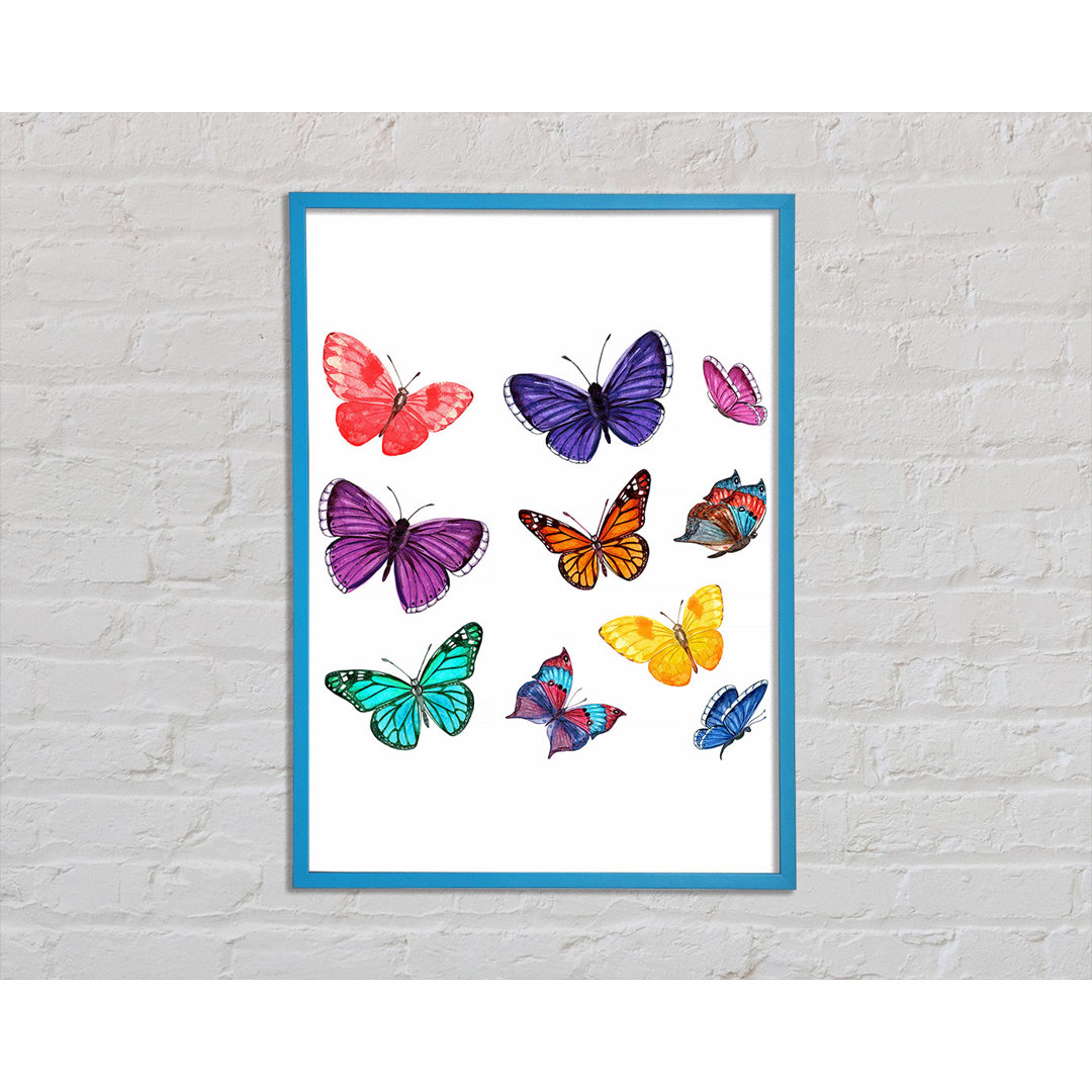 Springhill Rainbow Butterflies - Einzelner Bilderrahmen Kunstdrucke