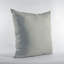 Coussin Plutus-62523898-62523902