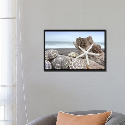 «Crescent Beach Shells V», reproduction de photo sur toile