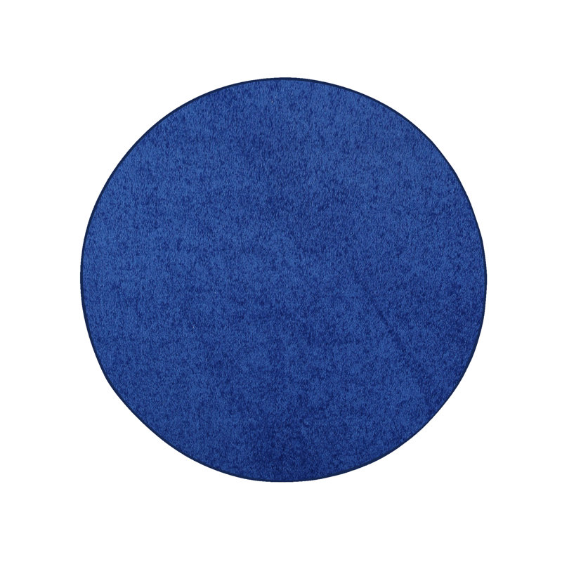 Modern Plush Pet and Kids Friendly Solid Color Neon Blue Area Rugs, Stain & Fade Resistance, Perfect for Living Room, Dining Room, Bedroom, Playroom and Kidsroom, Event, Wedding, Amberlie Rug