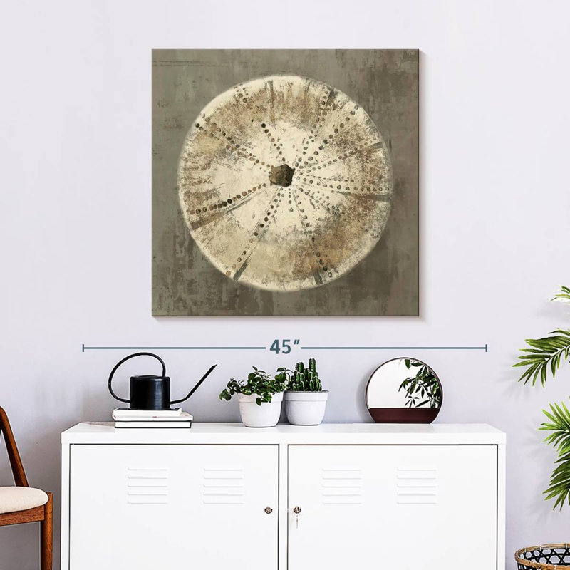 Brampt Sand Dollar I, 30" H x 30" W