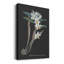 Orchidée sur ardoise I - impression sur toile tendue-408345582
