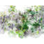 Fence 2618 Print by Chamira Young-71201215-132837913