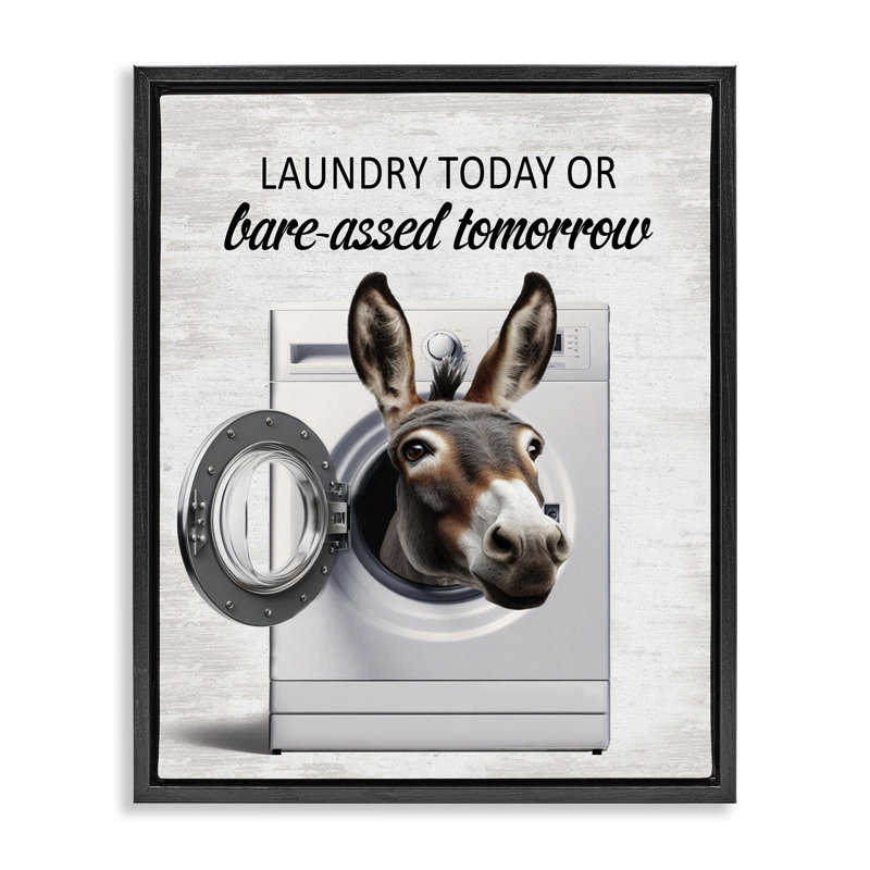 Cadre flottant Sassy Laundry, Cadre flottant noir de jais, H 21 po x l 17 po