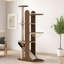Structure d'escalade pour chat 19,69 "Home