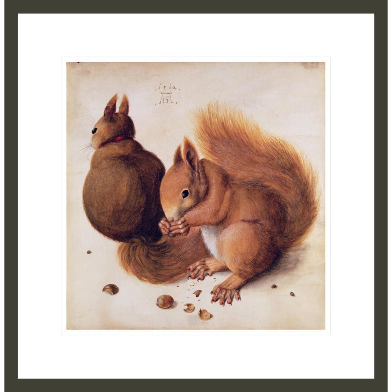 «Squirrels» par Albrecht Dürer, impression giclée sur cadre, H 18,15 po x l 17,75 po