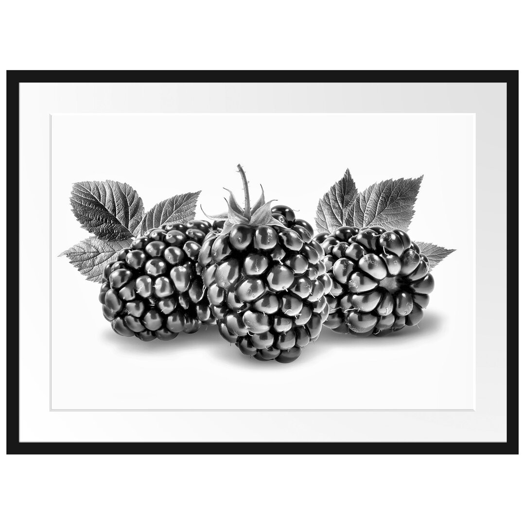 Gerahmtes Poster Leckere Brombeeren